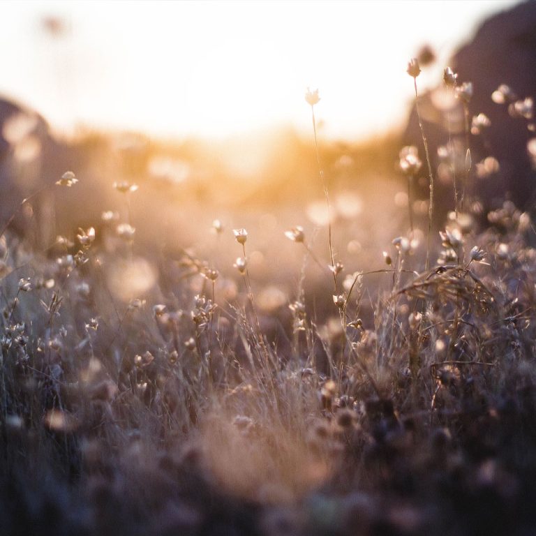 Healing Is Not The Final Destination: Living Is