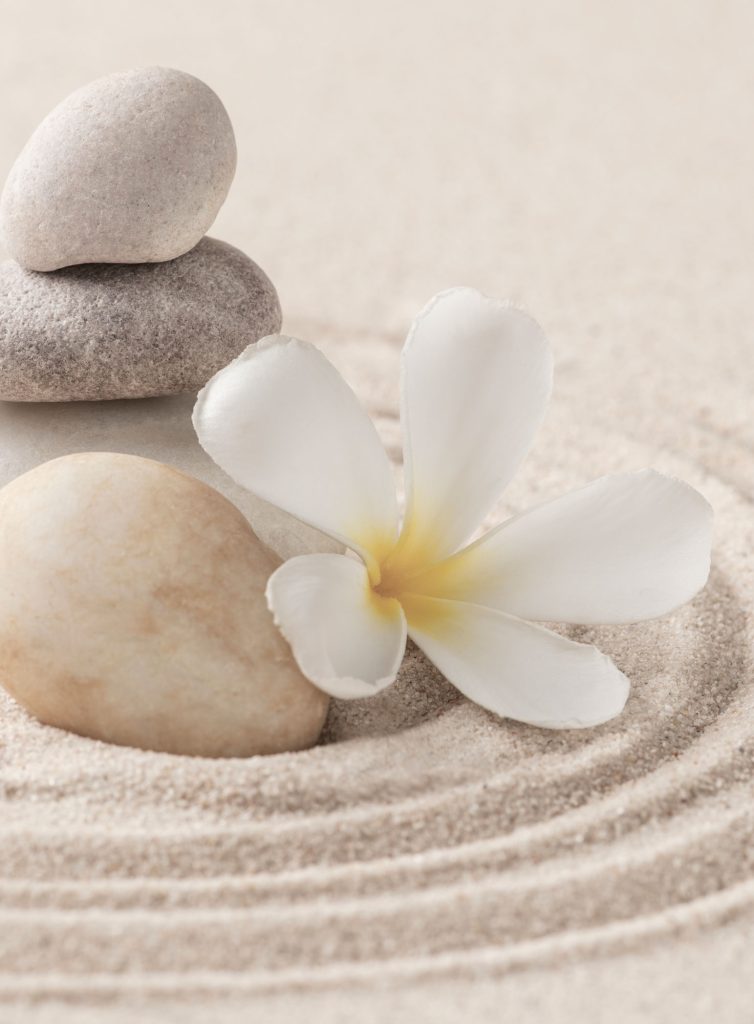 Counsellor & Transformation Coach