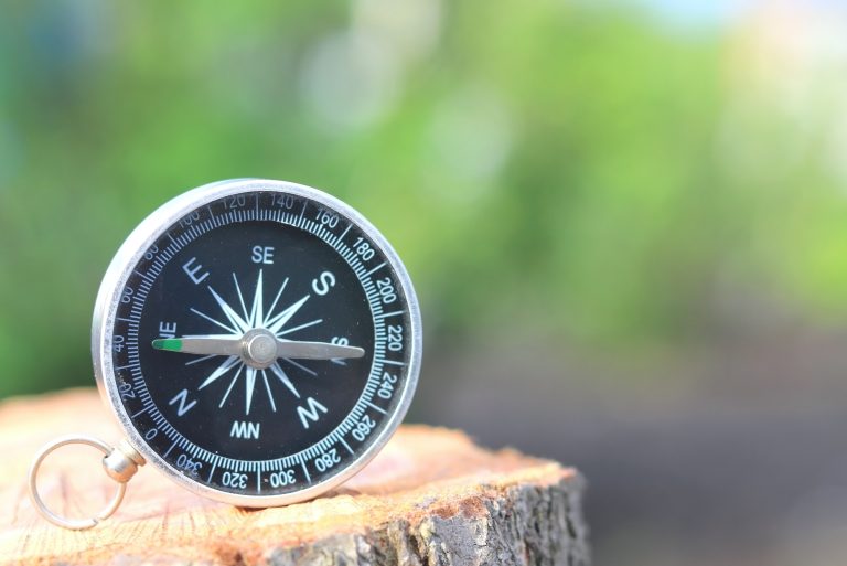 When Love Became My Compass